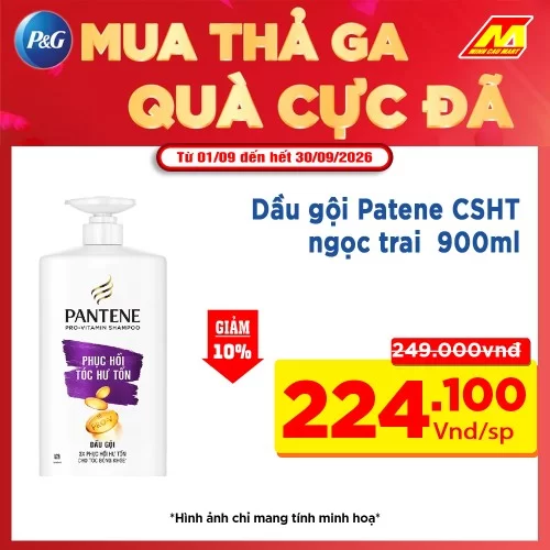 Dầu Gội Pantene Phục hồi Tóc Hư Tổn 900g 