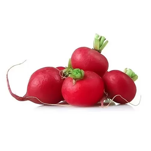 Củ Cải Đỏ Đà Lạt Củ Cải Đỏ Đà Lạt