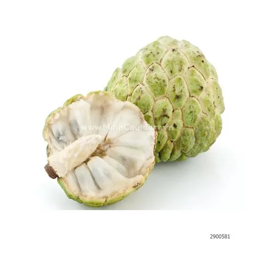 Quả Na La Hiên loại 1  Quả Na La Hiên loại 1