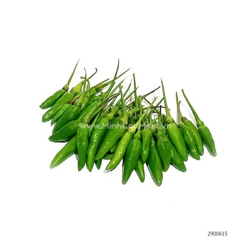 Ớt Xiêm Xanh Đà Lạt Ớt Xiêm Xanh Đà Lạt