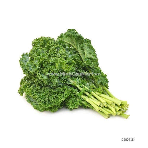 Rau Cải Xoăn - Cải Kale Đà Lạt Rau Cải Xoăn - Cải Kale Đà Lạt