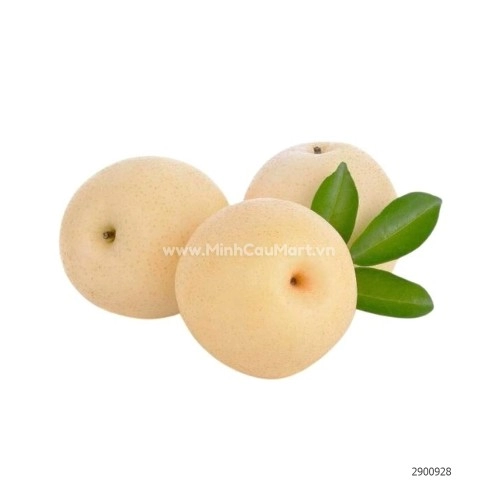 Quả Lê Sữa Quả Lê Sữa