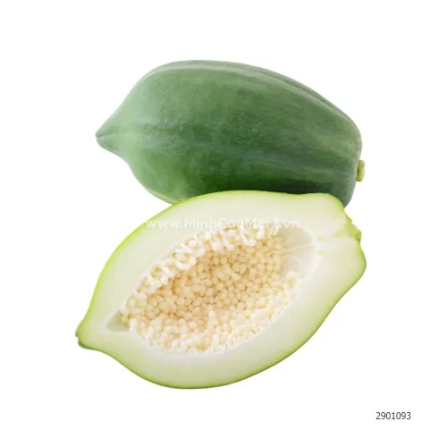 Quả đu đủ xanh                                                                                                                                                                                                                                            