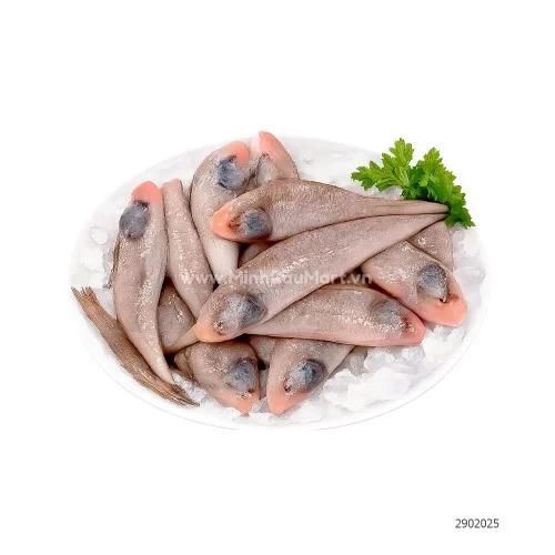 Cá bơn tươi Hạ Long                                                                                                                                                                                                                                       