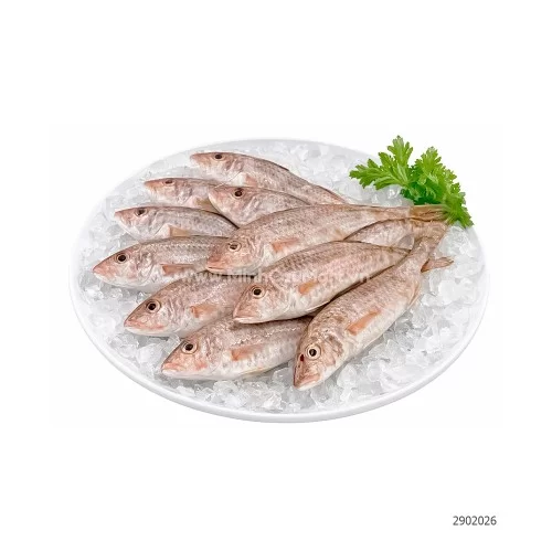 Cá phèn râu tươi Hạ Long                                                                                                                                                                                                                                  