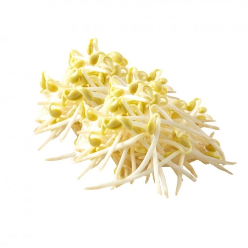 Giá Đỗ Sạch 0,5kg Giá Đỗ Sạch 0,5kg