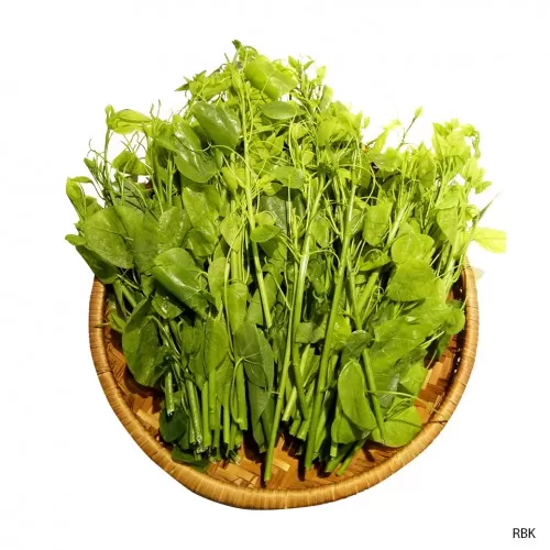 Rau bò khai 500Gr Rau bò khai 500Gr