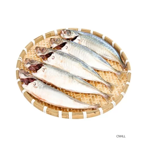 Cá Nục  Lan Làn 500Gr                                        