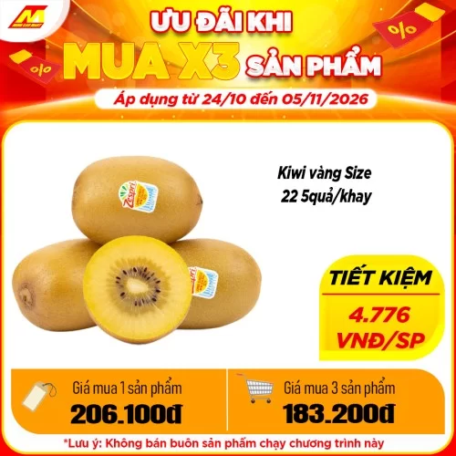 Kiwi Vàng Size 22 5 Quả/Khay