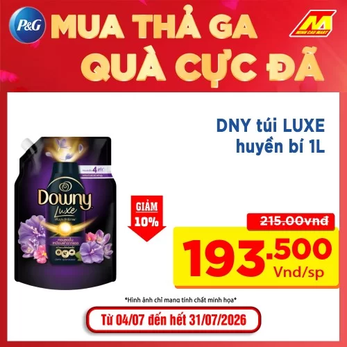 DNY túi LUXE huyền bí 1L