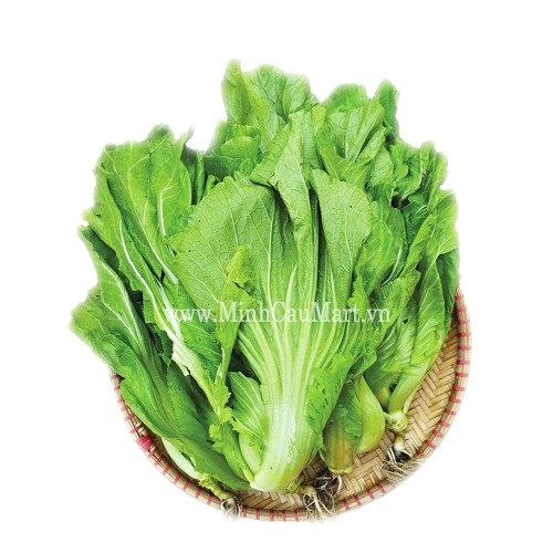 Rau cải bẹ xanh Đà Lạt Rau cải bẹ xanh Đà Lạt