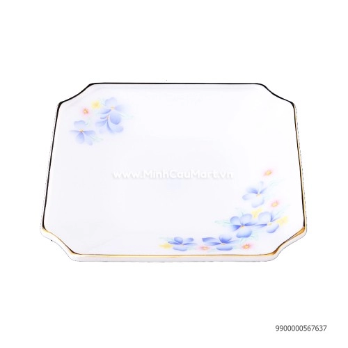 GP: Đĩa vuông 450