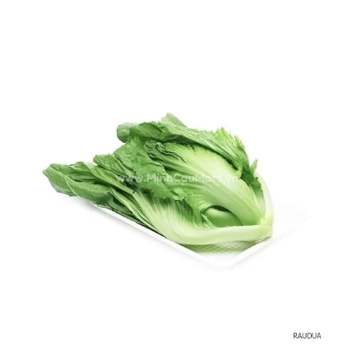 Rau Cải Muối Dưa An Toàn 1kg Rau Cải Muối Dưa An Toàn 1kg