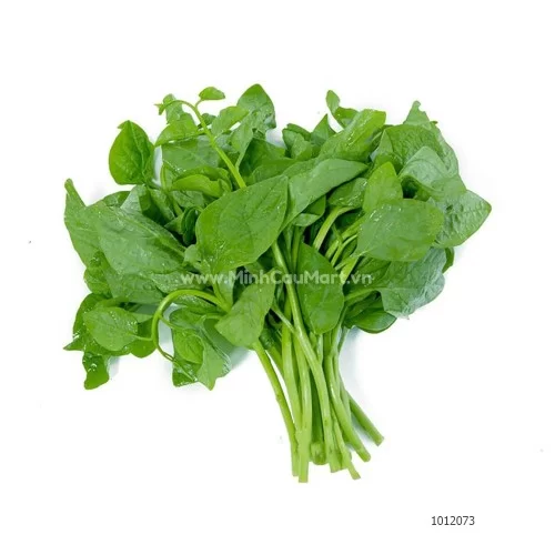 Rau Sạch An Toàn - Mồng Tơi 400GR Rau Sạch An Toàn - Mồng Tơi 400GR