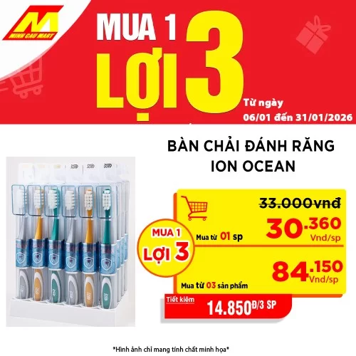 Bàn Chải Đánh Răng Ion Ocean 