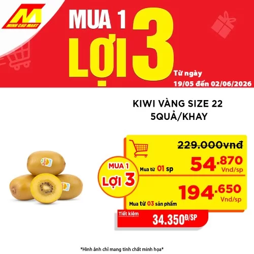 Kiwi Vàng Size 22 5 Quả/Khay