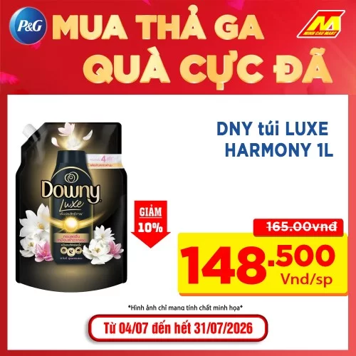 DNY túi LUXE HARMONY 1L