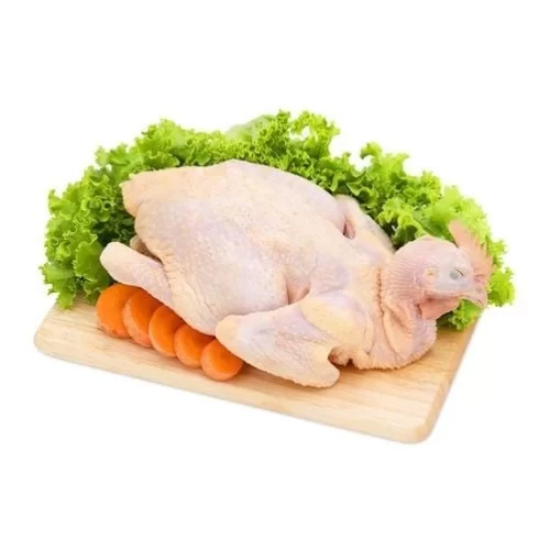 Gà ta đồi cả con                                                                                                                                                                                                                                          