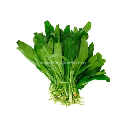 Rau Mùi Tàu