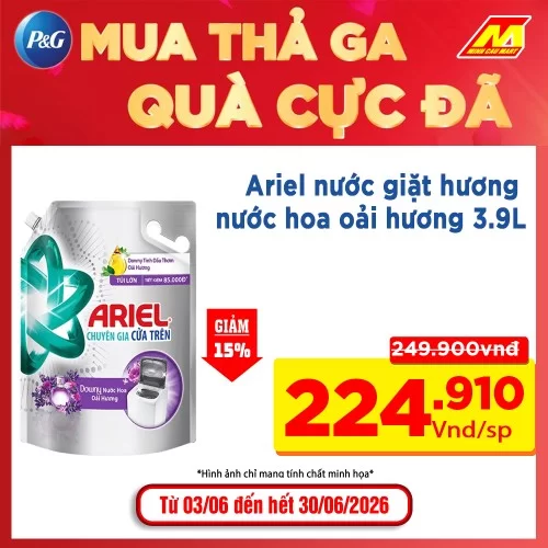 Ariel NG Downy cửa trước 3.7-3.9L