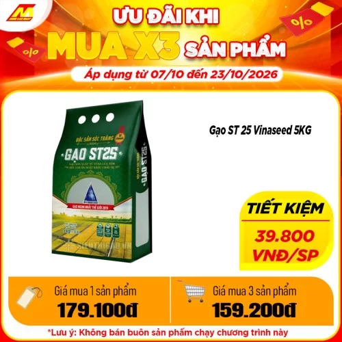 Gạo ST 25 Sóc Trăng 5KG