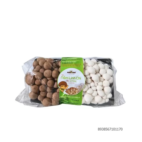 Nấm linh chi nâu và trắng Lý Tưởng 300gr