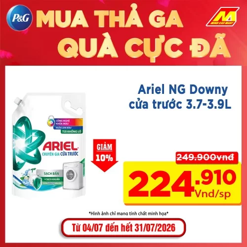 Ariel NG Downy cửa trước 3.7-3.9L