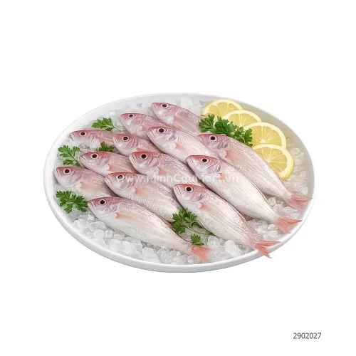 Cá phèn hồng tươi Hạ Long                                                                                                                                                                                                                                 