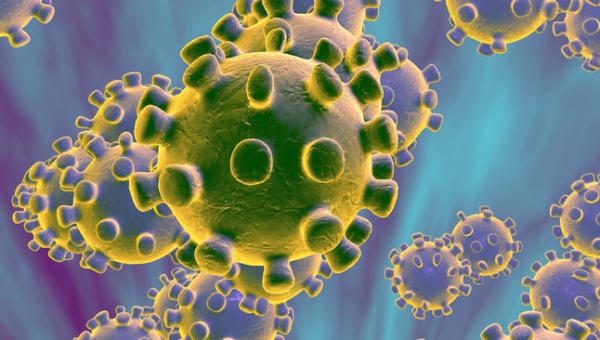 Dịch bệnh do virus corona mới: tất tần tật những điều cần biết