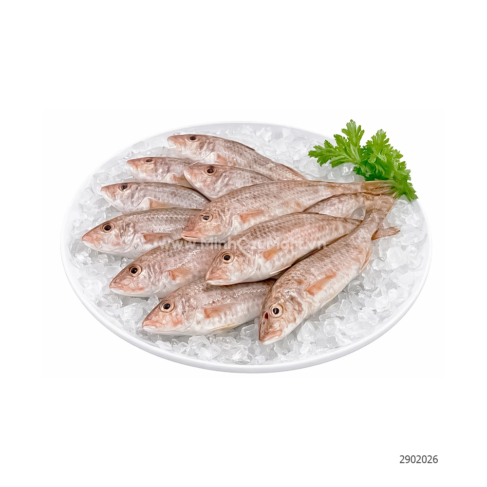 Cá phèn râu tươi Hạ Long - Mi