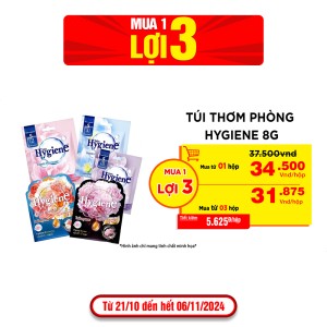 Túi thơm phòng Hygiene 8g