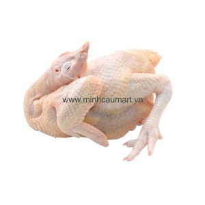 Gà Ta Tươi Cả Con
