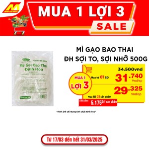 Mì gạo Bao Thai ĐH sợi to, sợi nhỡ 500g